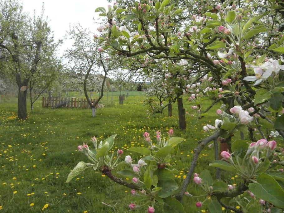 Ferienwohnung Im Vogelhaus Mit Dachterasse Und Grossem Garten Calau Exterior foto