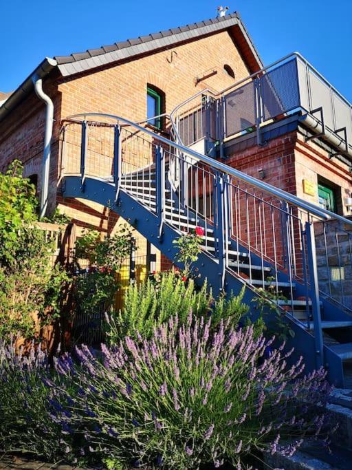 Ferienwohnung Im Vogelhaus Mit Dachterasse Und Grossem Garten Calau Exterior foto