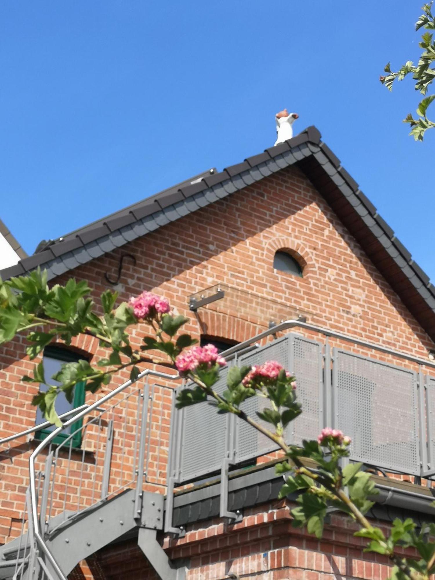 Ferienwohnung Im Vogelhaus Mit Dachterasse Und Grossem Garten Calau Exterior foto