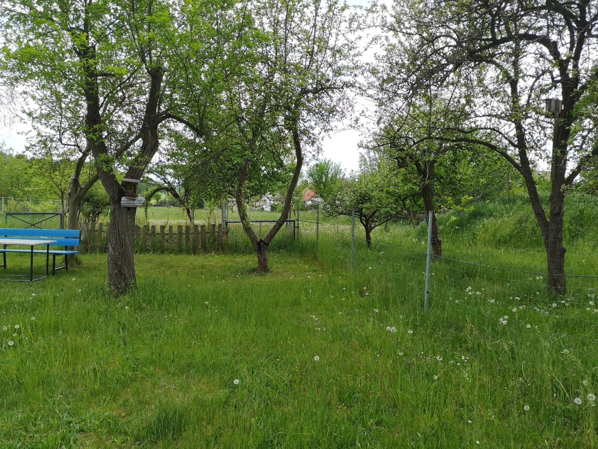Ferienwohnung Im Vogelhaus Mit Dachterasse Und Grossem Garten Calau Exterior foto