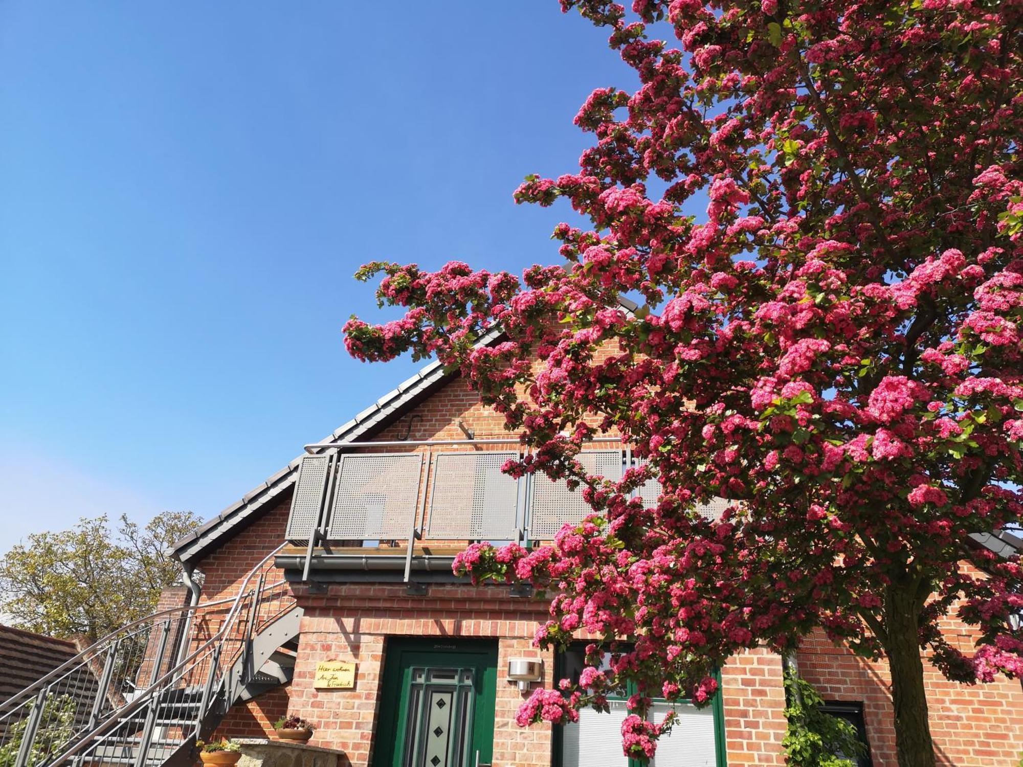 Ferienwohnung Im Vogelhaus Mit Dachterasse Und Grossem Garten Calau Exterior foto