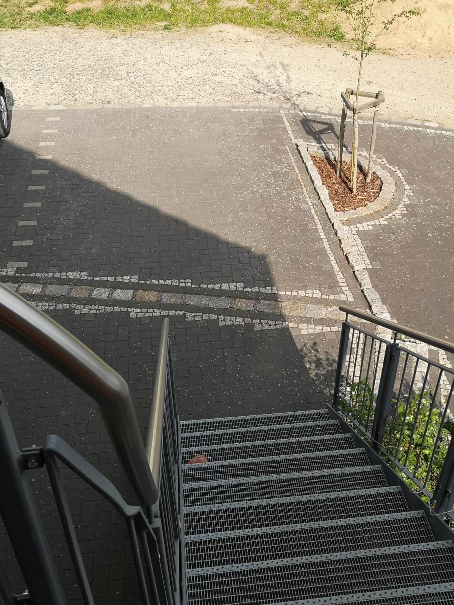 Ferienwohnung Im Vogelhaus Mit Dachterasse Und Grossem Garten Calau Exterior foto